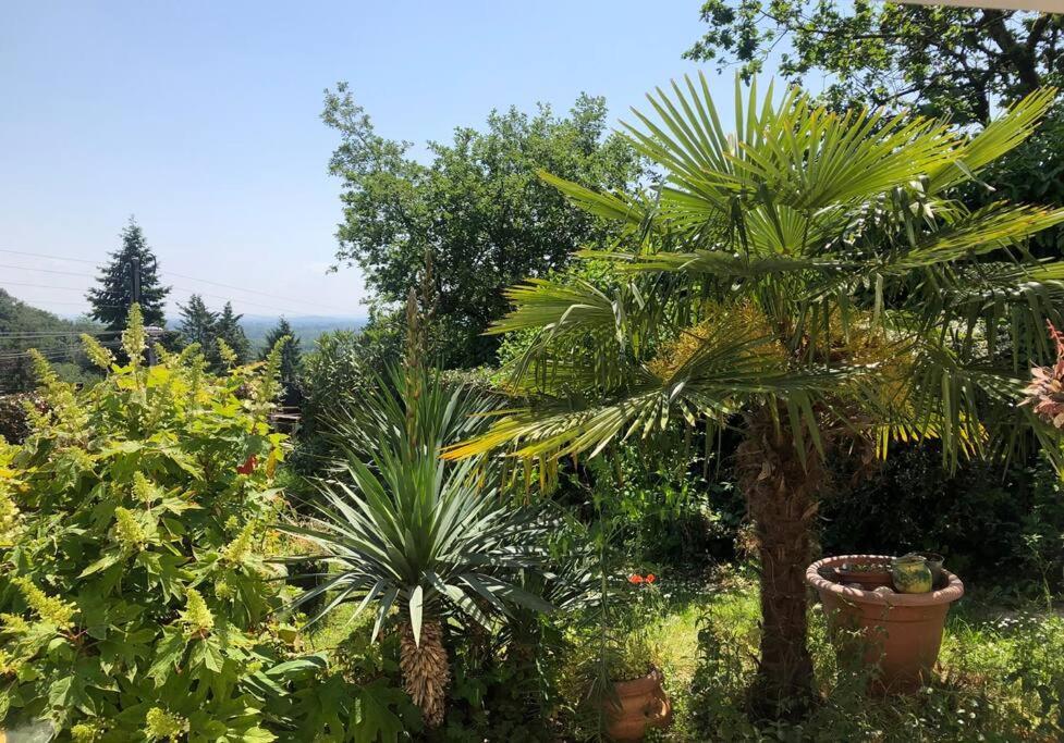Le Jardin Suspendu Lejlighed Rillieux-la-Pape Eksteriør billede
