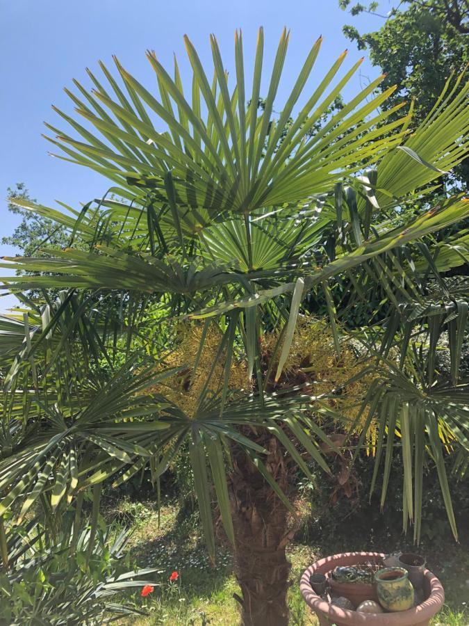 Le Jardin Suspendu Lejlighed Rillieux-la-Pape Eksteriør billede