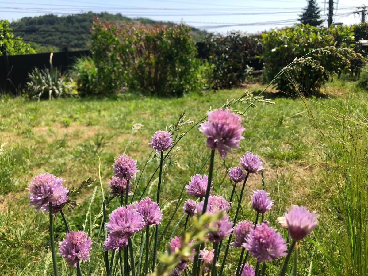 Le Jardin Suspendu Lejlighed Rillieux-la-Pape Eksteriør billede